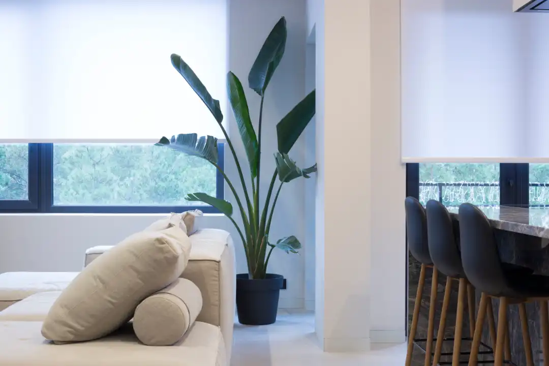 Blinds Belmont