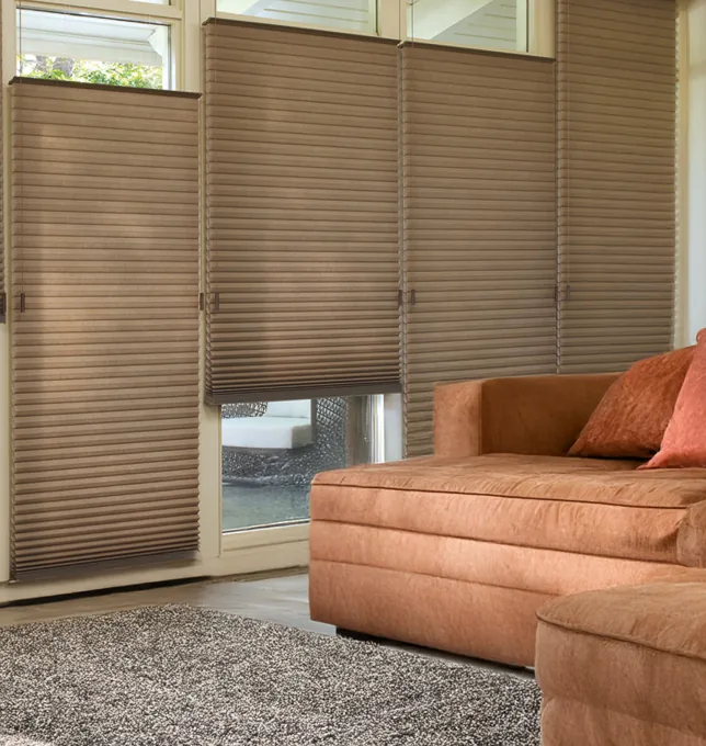 Honeycomb blinds in a living room