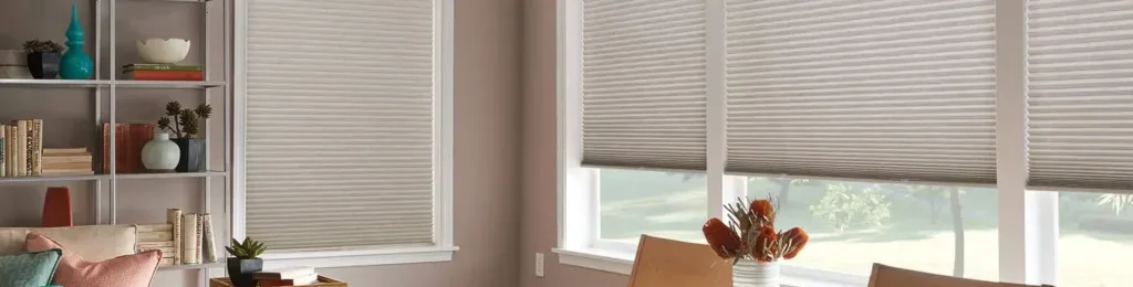 Honeycomb blinds in a living room
