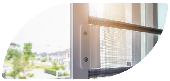Insect screen fitted to a window frame