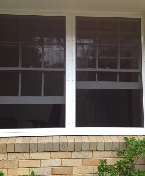 Fixed outdoor screens on two windows