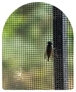Insect screen mesh with a cicada on it